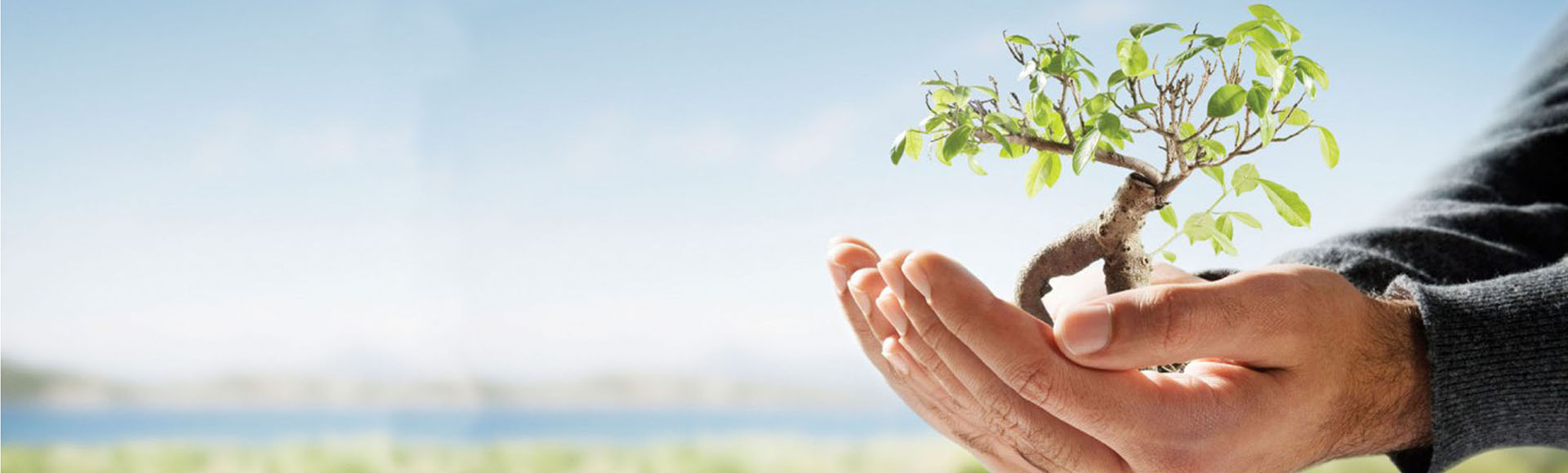 Renovating Homes and Offices